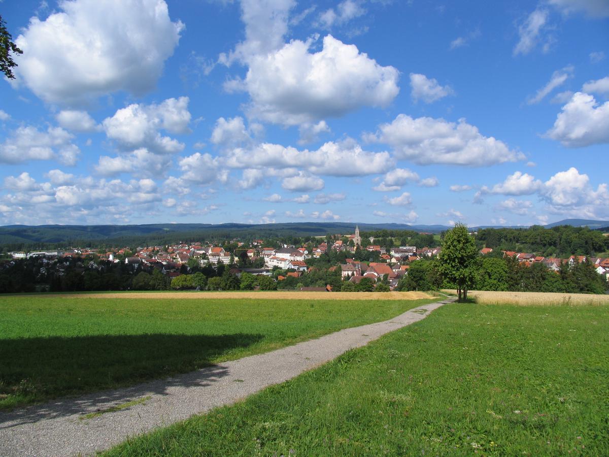 Moehringers Schwarzwald