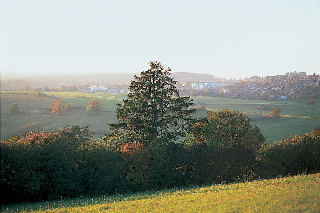 Moehringers Schwarzwald Отель